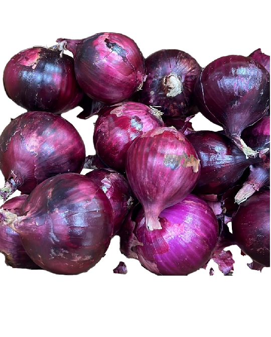 cebollas-morada6