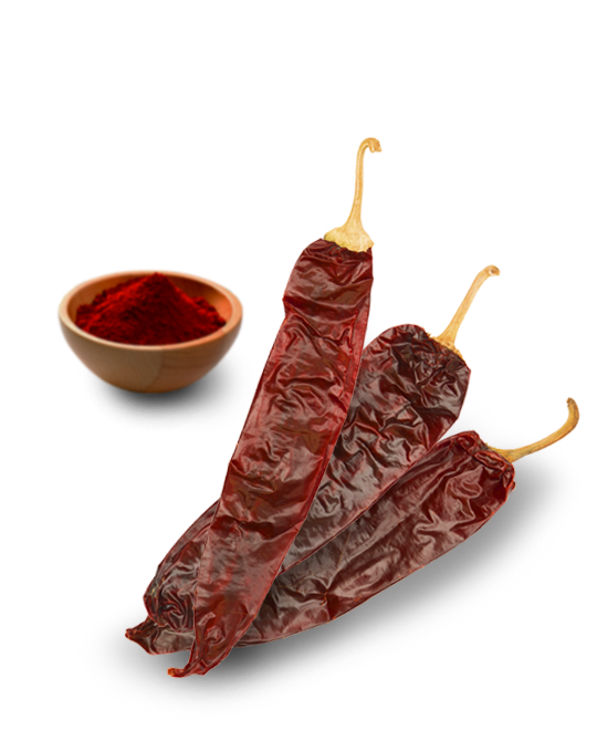paprika-molienda-3